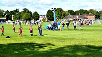 • Udney Park Playing Fields declared an Asset of Community Value